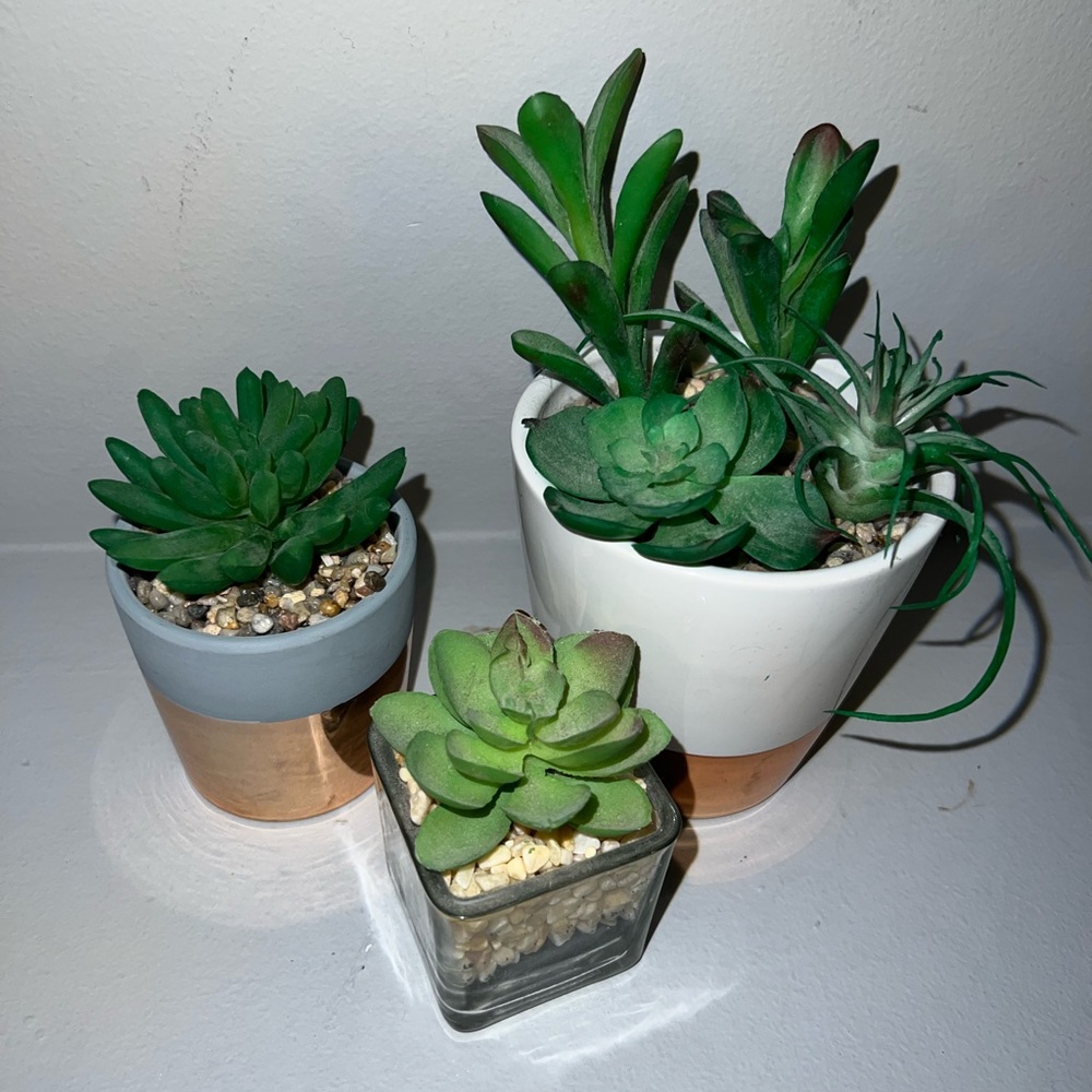 Fake plant decor